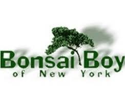 Bonsai boy of New York screenshot